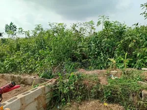 Sale Plot of Land at Idobila Jebuode Ogun State