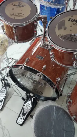 Professional Standard Drum
