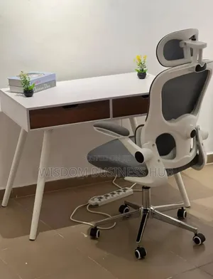 Ergonomic Chair for Use in Offices