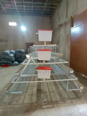 Hot Deap Galvanized Battery Cage