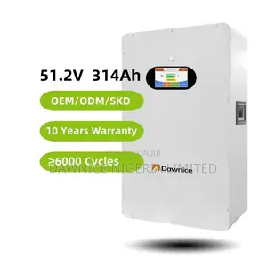 16kwh Wall Mount Lifepo4 Battery 51.2v 314ah Home Storage
