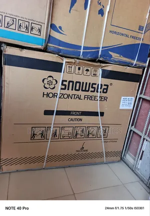 Snowsea Freezer Bd-308g