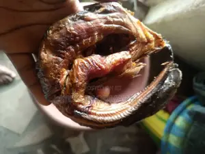 Oven Dried Headless Catfish