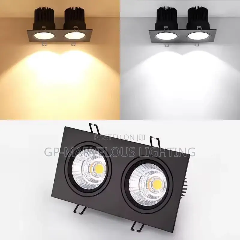Double Recess Light