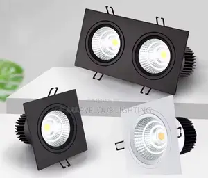 Double Recess Light