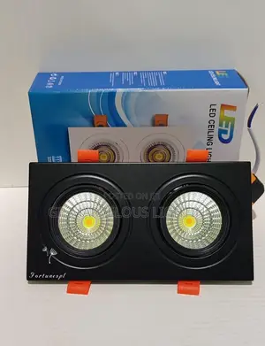 Double Recess Light