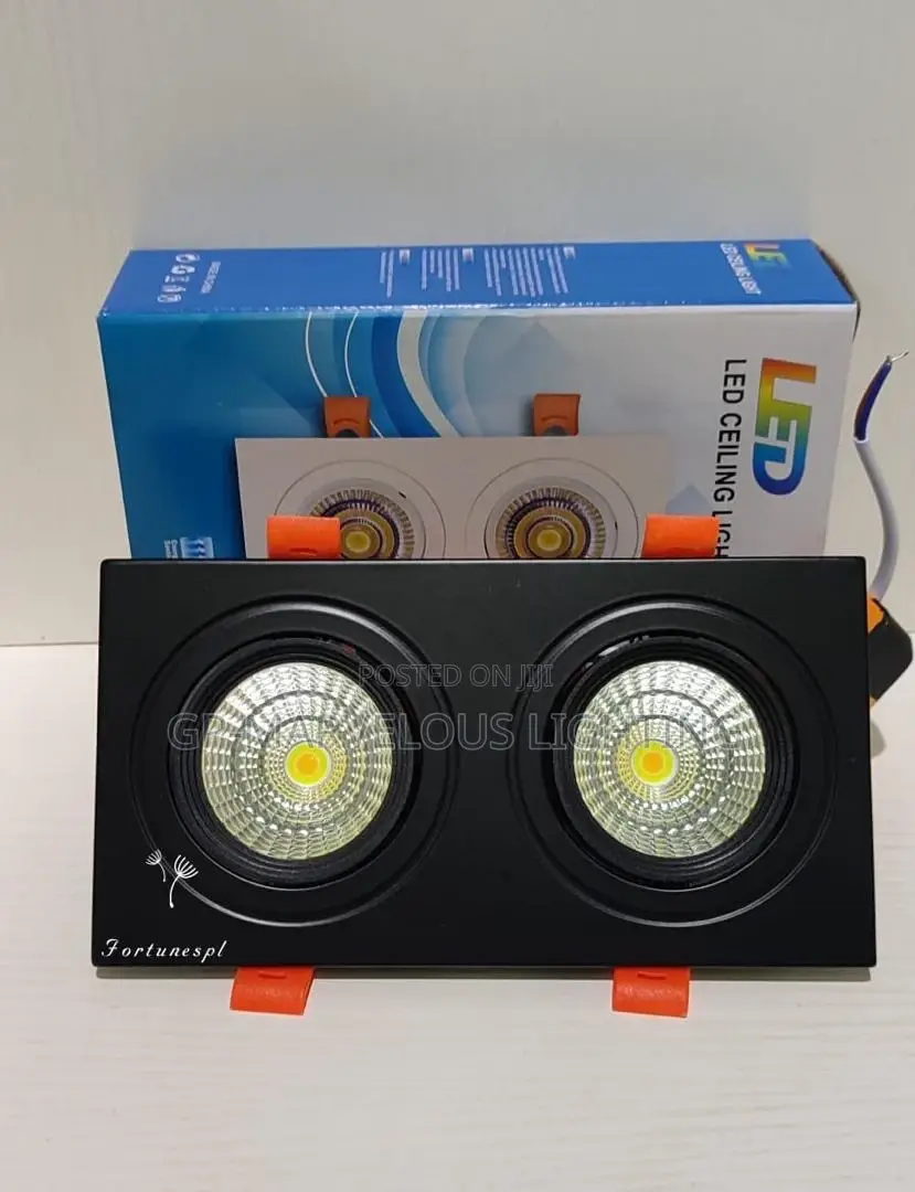 Double Recess Light