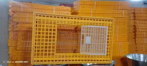 Birds Moving Cages 