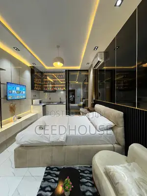 Luxurious Studio Apartment