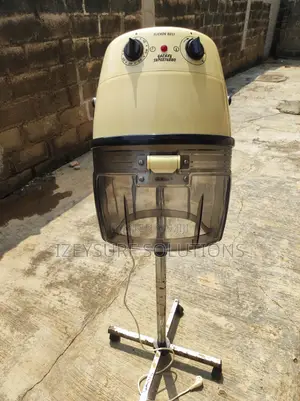 Professional Hair Dryer