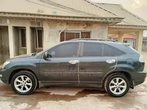 Lexus RX 2009 Gray