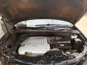 Lexus RX 2009 Gray