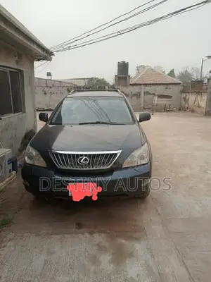 Lexus RX 2009 Gray