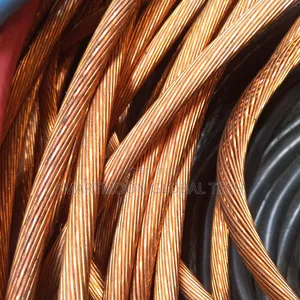 1x150mm2 Bear Copper