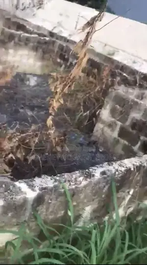 Land With a House Inside