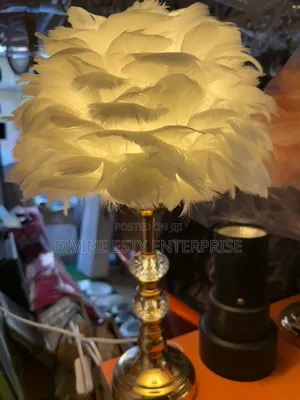 Luxury Feather Lamp