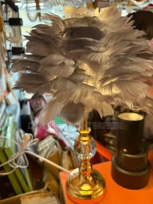 Luxury Feather Lamp