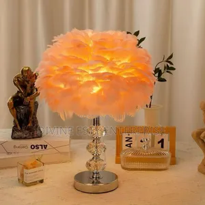 Luxury Feather Lamp