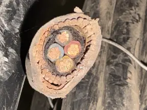 Coleman Electrical Cable 6mm 4core