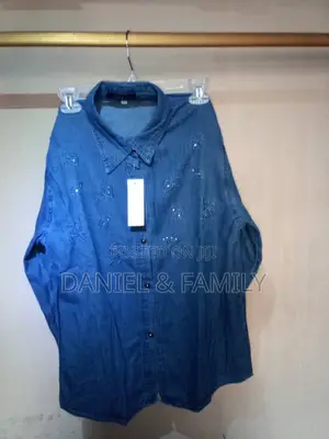 Stylish Ladies Denim Casual Shirts – Imported
