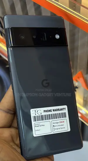 Google Pixel 6 Pro 256 GB Gray