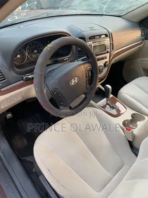 Hyundai Santa Fe 2008 Pink
