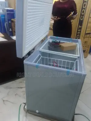 Bona 318l Solar Chest Freezer: Efficiency Meets Convenience
