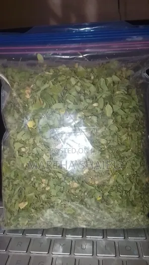 Natural Plants for Wellness