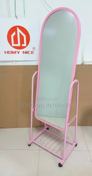 New Standing Mirro