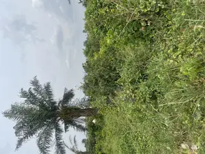 1 Plot of Land