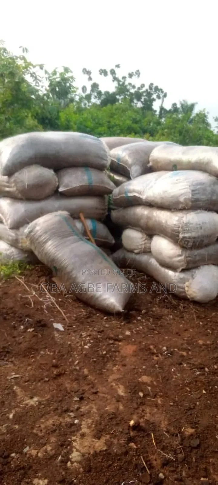 Chicken Manure, Dried Poultry Dropping