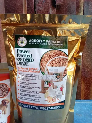 Chicken Feed Powder for Healthy Flocks