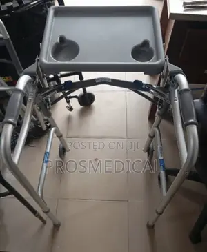 Walking Frame (Tray Detached)