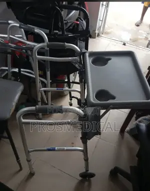 Walking Frame (Tray Detached)