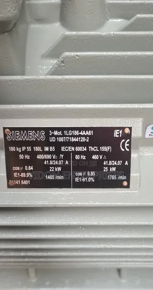 22kw Siemens Electric Motor