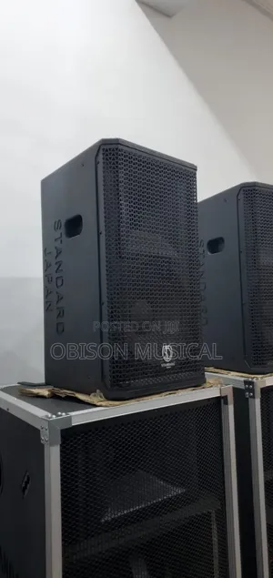 Standard 12 Inches Speaker