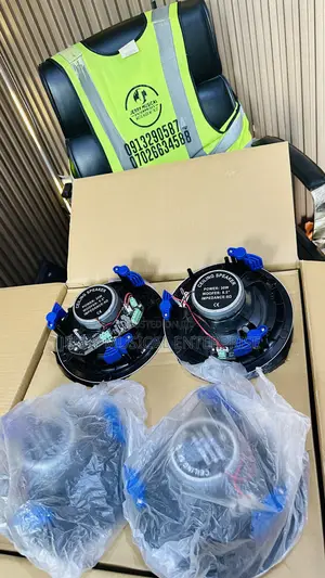 30w Framless Ceiling Speakers