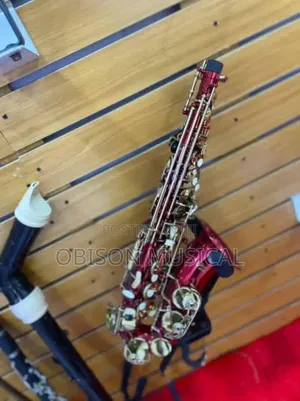 Bronze Saxophone