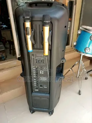 Quality Double 15 Inches Public Address