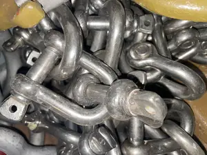 Stainless Shackles