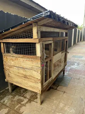 Big Dog Cage