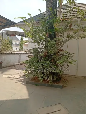 Furnished 6bdrm Duplex in Asokoro for rent