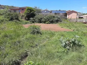 5 Hectares* (Part of 20 Hectares). Serious Buyer Only .