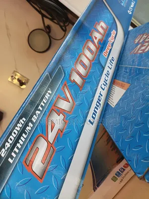 2.4 Lithium Battery 24v 100ah Longer Cycle Life