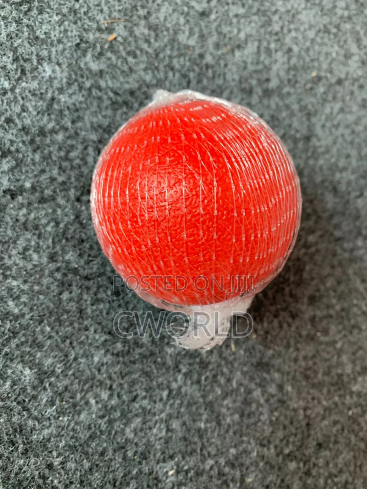 Pet Play Ball