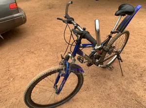 Double Shocks Bicycle