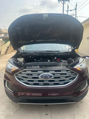 Ford Edge SE AWD 2019 Brown
