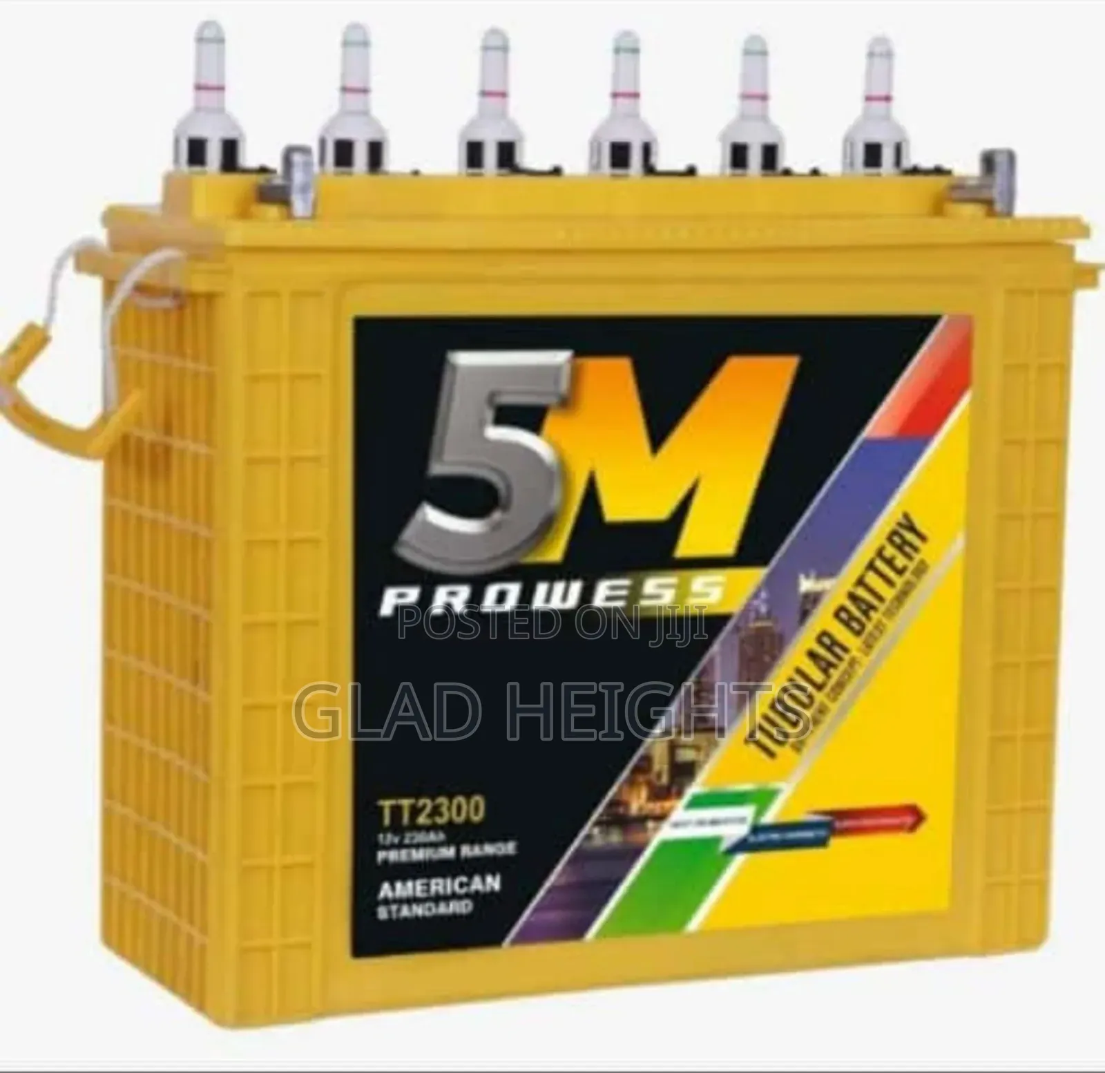 5m Prowess Inverter Battery