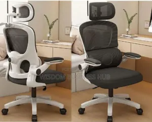 Ergonomic Chair for Executive Offices