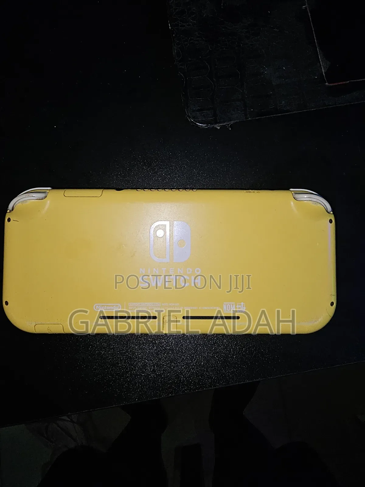 Nintendo Switch Lite Hacked